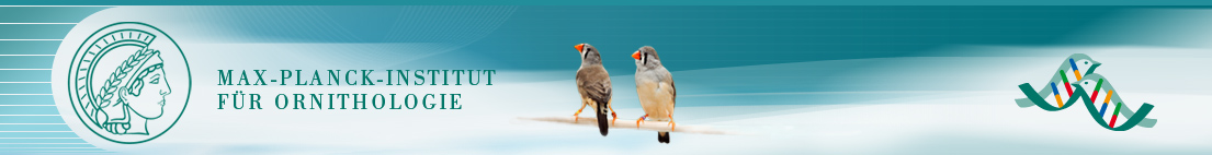 site_header