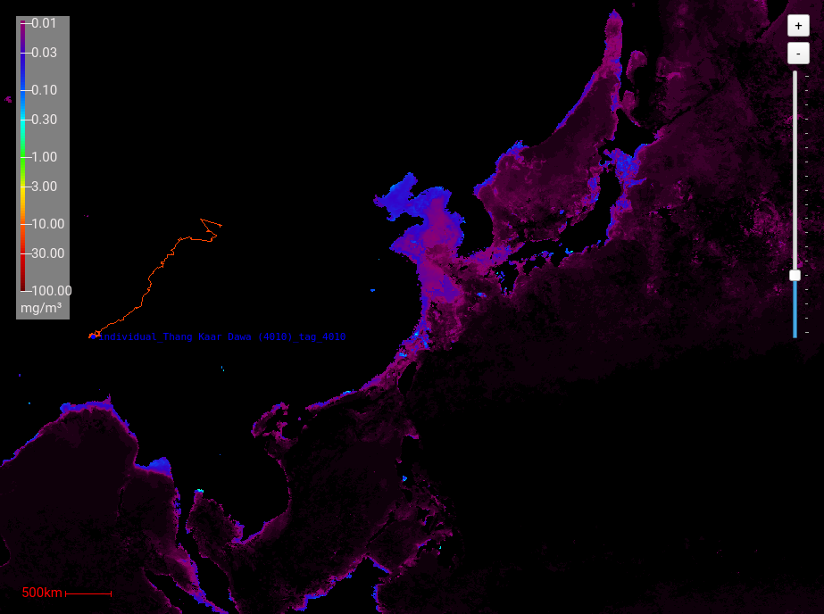 MODIS Chlorophyll Data